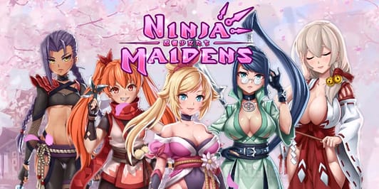 Ninja Maidens Game