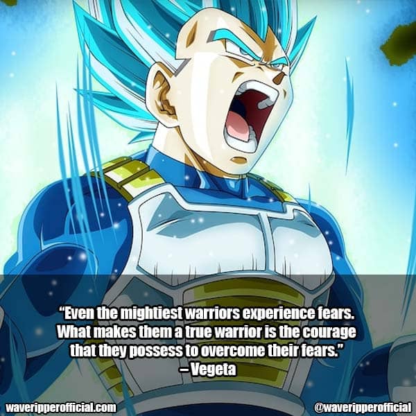 Vegeta Quotes 5