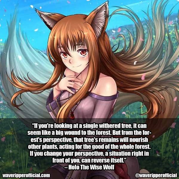 Wise Wolf Quotes 5