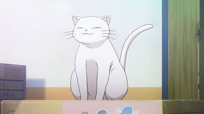 Hikari White Cat