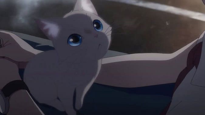 Taichi
