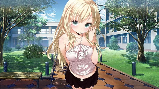 Slice of life Genre - boku wa tomodachi ga sukunai