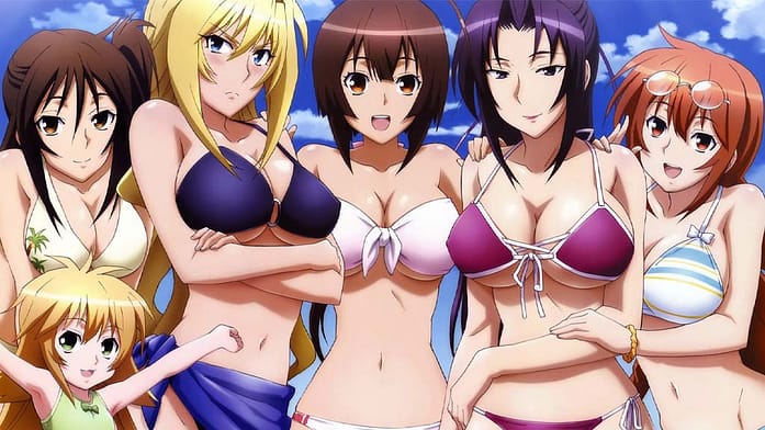 30 Best Ecchi Anime That Will Make You Blush - Waveripperofficial