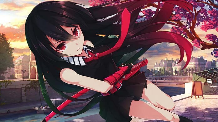Akame Ga Gill - Psychological Anime