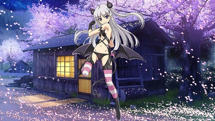 Ecchi Mature Anime Series