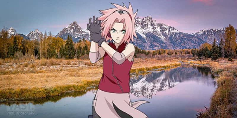 Sakura Haruno Pink Haired from Naruto