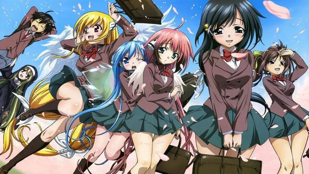 25 Best Anime Like High School DxD