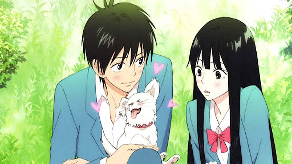 Top more than 79 shoujo romance anime  incdgdbentre