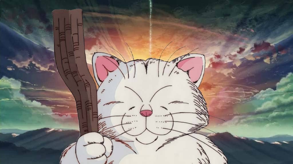 50 Most Popular Anime Cat Characters of All Time  Hood MWR