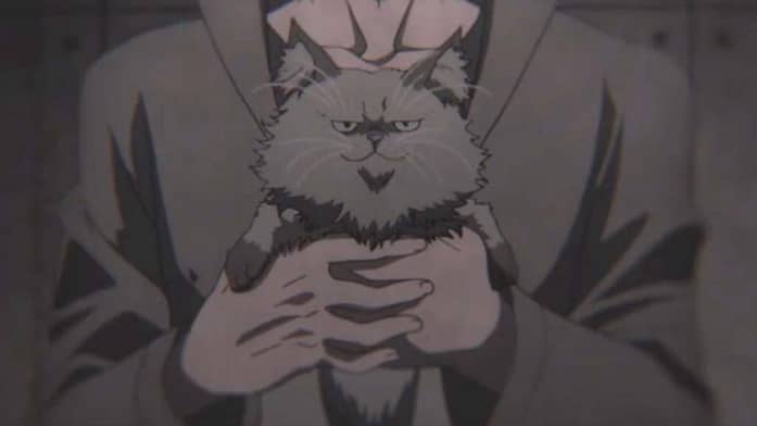 Anime cats Maris Stella