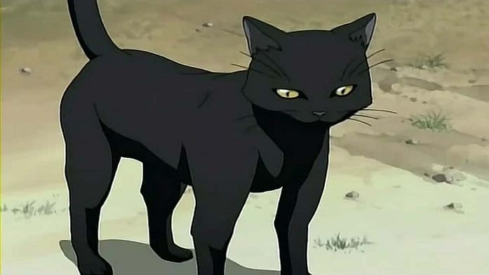 Female Character in Cat form